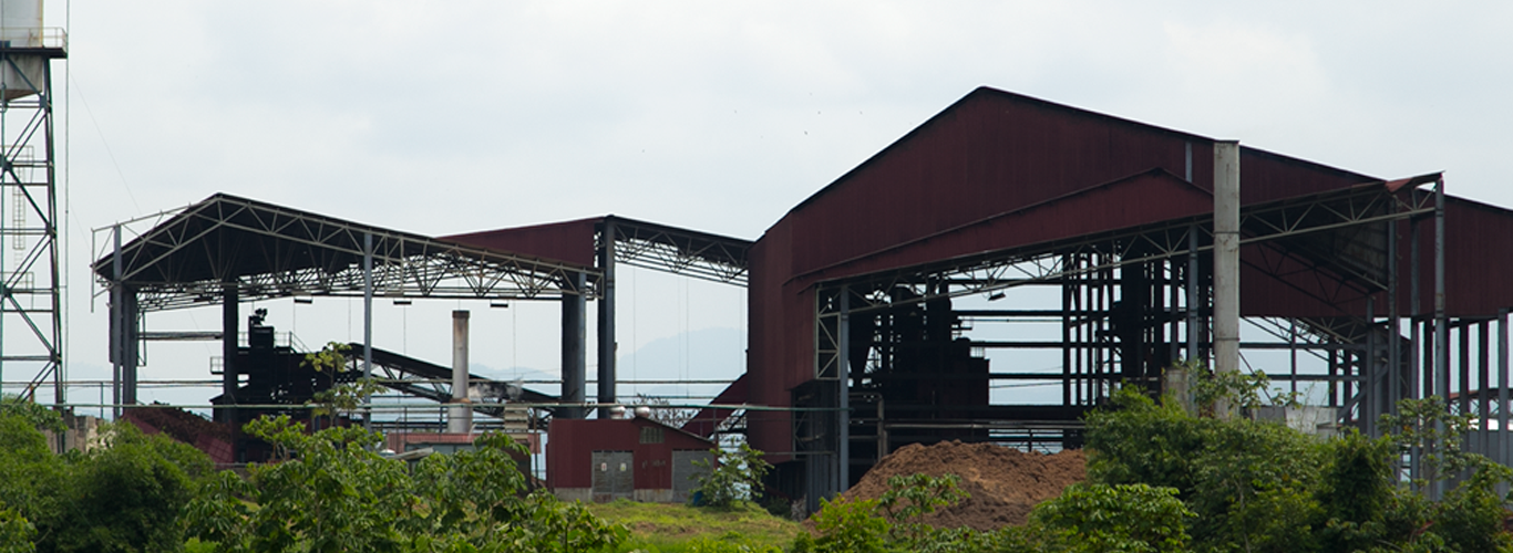 Comprometidos con el Propósito Superior de la Agroindustria de la Palma de Aceite
