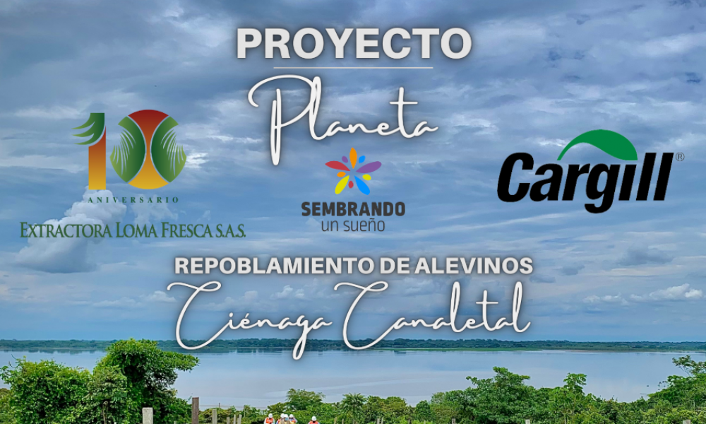 Lanzamiento Proyecto Planeta